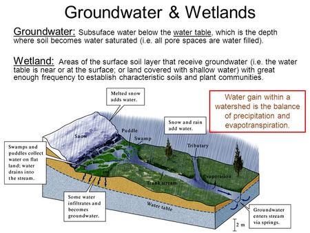 Groundwater & Wetlands