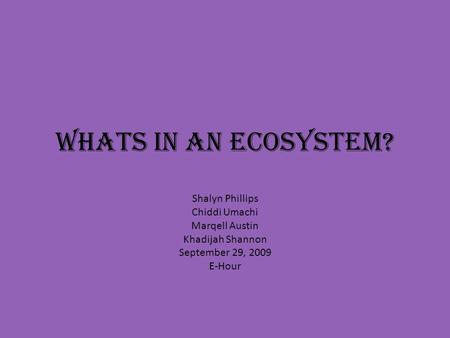 Whats In an ecosystem? Shalyn Phillips Chiddi Umachi Marqell Austin Khadijah Shannon September 29, 2009 E-Hour.