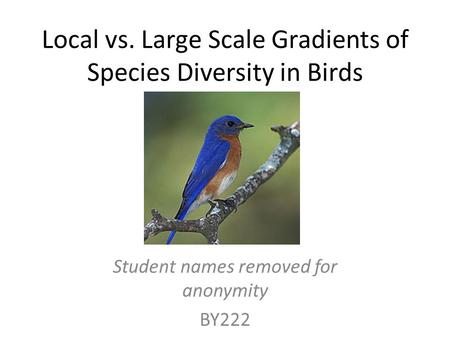 Local vs. Large Scale Gradients of Species Diversity in Birds Student names removed for anonymity BY222.