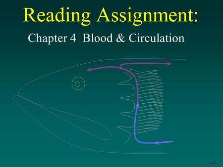 Reading Assignment: Chapter 4 Blood & Circulation end.