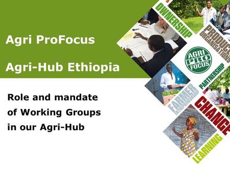 Agri ProFocus Agri-Hub Ethiopia Role and mandate of Working Groups in our Agri-Hub.