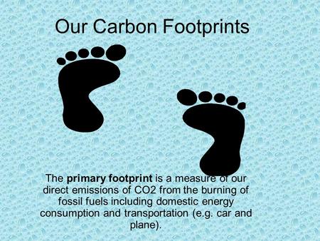 Our Carbon Footprints The primary footprint is a measure of our direct emissions of CO2 from the burning of fossil fuels including domestic energy consumption.