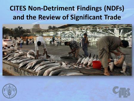 CITES Non-Detriment Findings (NDFs) and the Review of Significant Trade.