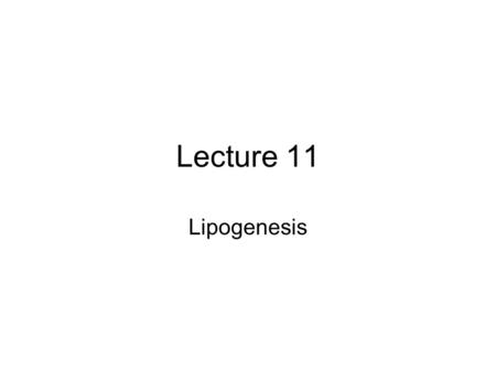 Lecture 11 Lipogenesis. Overview glucose G6P pyruvate acetyl-CoA pyruvate LIPOGENESIS Fat PDH GLYCOLYSIS GLUT-4 No GS KREBS CYCLE CO 2 fatty acids ESTERIFICATION.