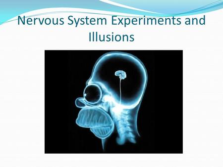 Nervous System Experiments and Illusions. Optical Illusion #1: Is there anybody that is colorblind? If you can see colors you should be able to see the.