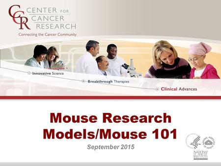 Mouse Research Models/Mouse 101 September 2015. Mouse Research Models/Mouse 101 The presentations included in this course will be recorded and archived.