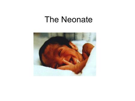 The Neonate. Plan for session Size and Gestation Changes at birth Common Neonatal Problems Neonatal Checks.