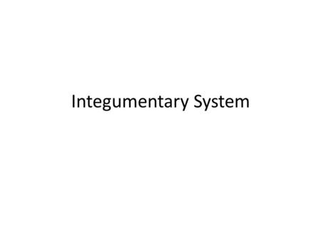 Integumentary System. Organisms outer covering Varies in form but same basic function Made up of skin and its derivatives (scales, hair, nails, etc.)