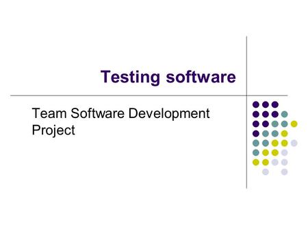 Testing software Team Software Development Project.