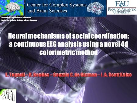 Human Brain and Behavior Laboratory Center for Complex Systems & Brain Sciences Neural mechanisms of social coordination: a continuous EEG analysis using.