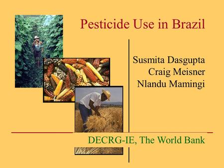 Pesticide Use in Brazil Susmita Dasgupta Craig Meisner Nlandu Mamingi DECRG-IE, The World Bank.