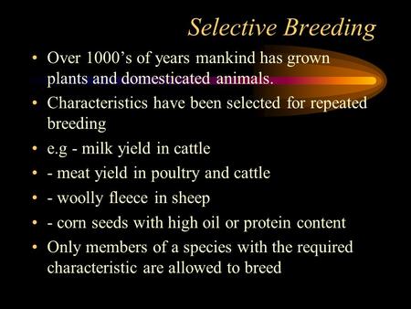 Selective Breeding Over 1000’s of years mankind has grown plants and domesticated animals. Characteristics have been selected for repeated breeding e.g.