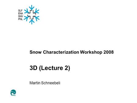 Snow Characterization Workshop 2008