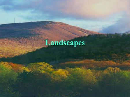 Landscapes.