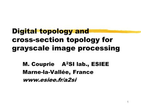 1 Digital topology and cross-section topology for grayscale image processing M. Couprie A 2 SI lab., ESIEE Marne-la-Vallée, France www.esiee.fr/a2si.