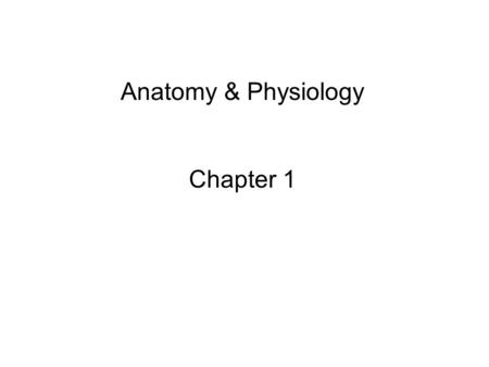 Anatomy & Physiology Chapter 1.