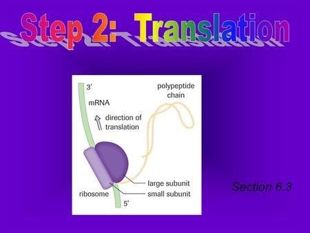 Section 6.3. An overview: Most commonly, what comes to mind is the process by which we take ideas expressed in one language, & make them intelligible.