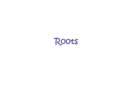 Roots Main function: –Absorb water & nutrients Transport them to the above ground plant –Anchor the plant in the ground –Some store energy as carbohydrates.