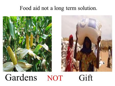 Gardens NOT Gift Food aid not a long term solution.