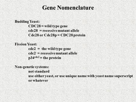 Gene Nomenclature Budding Yeast: CDC28 = wild type gene cdc28 = recessive mutant allele Cdc28 or Cdc28p = CDC28 protein Fission Yeast: cdc2 = the wild.