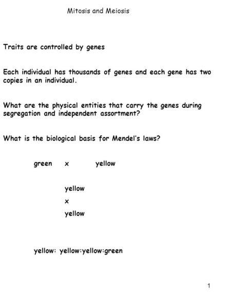 1 Mitosis and Meiosis Traits are controlled by genes Each individual has thousands of genes and each gene has two copies in an individual. What are the.