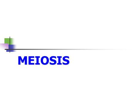 MEIOSIS.