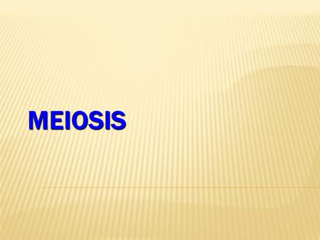 MEIOSIS.