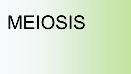 MEIOSIS.