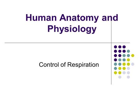 Human Anatomy and Physiology Control of Respiration.