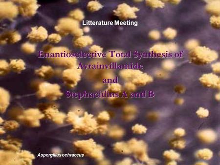 Litterature Meeting Enantioselective Total Synthesis of Avrainvillamide and Stephacidins A and B Aspergillus ochraceus.