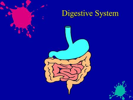 1 Digestive System. 2 Digestive Outline  Function of Digestive System  Parts of the digestive system  Digestive Process  Diseases and complications.