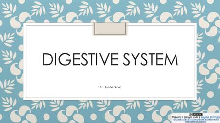 DIGESTIVE SYSTEM Dr. Peterson. Word parts related to the mouth Word parts related to the throat Word parts related to the organs for digestion, absorption.