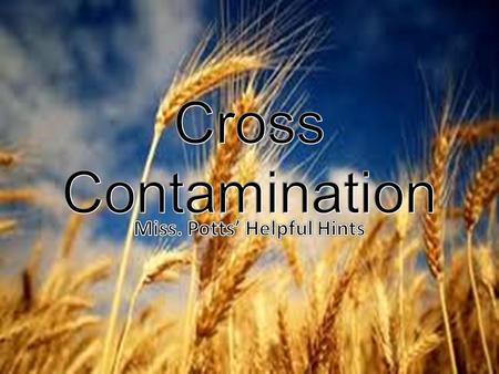 Gluten-free individuals have to be extremely careful in their day-to- day cooking because cross contamination is a big problem if a kitchen is not 100%