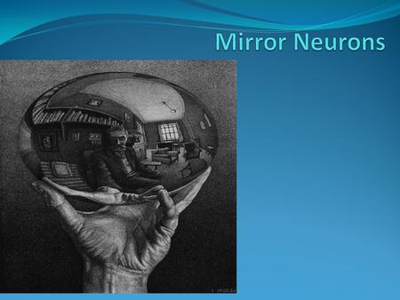 Discovery Neuroscientist Giaccamo Rizzollati and his colleagues at the University of Parma, Italy discovered mirror neurons in 1995. It was an accidental.