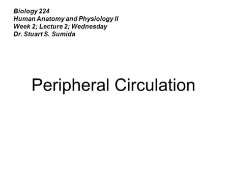 Peripheral Circulation