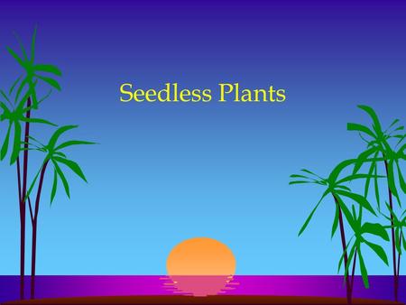 Seedless Plants.