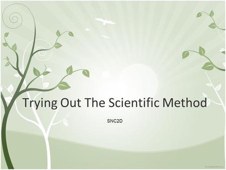 Trying Out The Scientific Method SNC2D. Trying out the Scientific Method ●Some of you will be studying paper airplanes. ●What question do we want to answer.