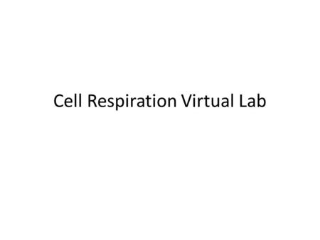 Cell Respiration Virtual Lab