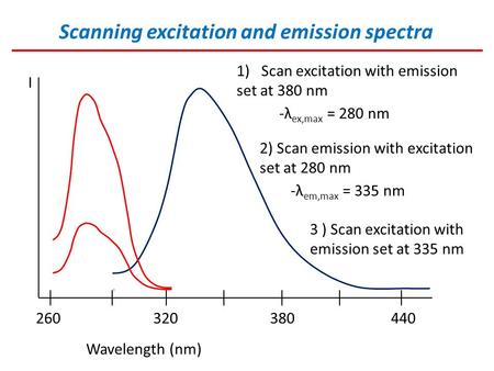 Scanning excitation and emission spectra I Wavelength (nm) 260 320 380 440 1)Scan excitation with emission set at 380 nm -λ ex,max = 280 nm 2) Scan emission.