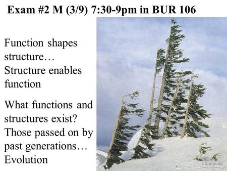 Function shapes structure… Structure enables function What functions and structures exist? Those passed on by past generations… Evolution Exam #2 M (3/9)