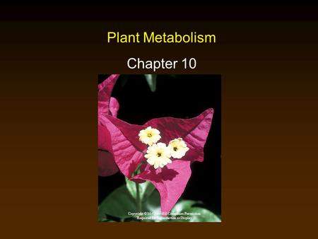 Plant Metabolism Chapter 10 Copyright © McGraw-Hill Companies Permission Required for Reproduction or Display.