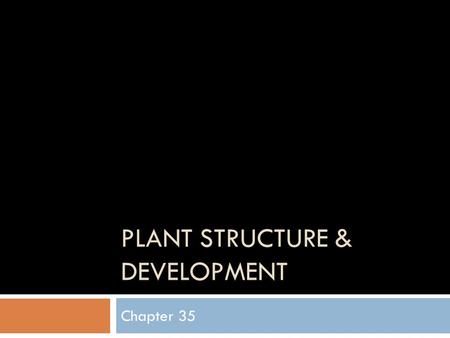 PLANT STRUCTURE & DEVELOPMENT