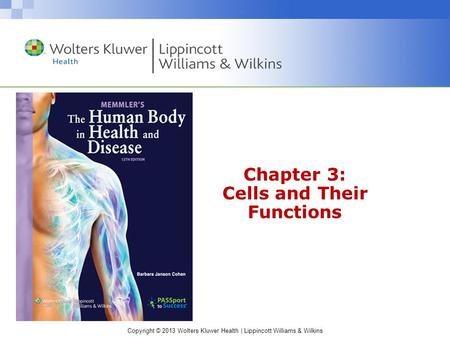 Chapter 3: Cells and Their Functions