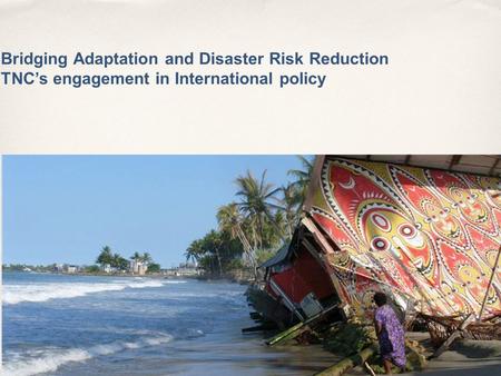 Bridging Adaptation and Disaster Risk Reduction TNC’s engagement in International policy IUCN – Marco Calvo.