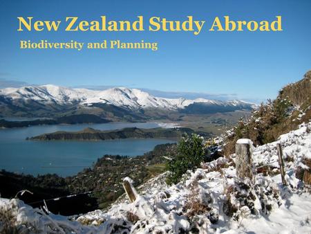 New Zealand Study Abroad Biodiversity and Planning.