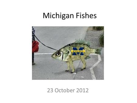 Michigan Fishes 23 October 2012. Michigan Fishes Michigan dominates Great Lakes watershed Shoreline = 3,288 miles (2 nd to Alaska) Over 35,000 inland.