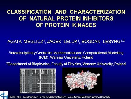 Jacek Leluk, Interdisciplinary Centre for Mathematical and Computational Modelling, Warsaw University CLASSIFICATION AND CHARACTERIZATION OF NATURAL PROTEIN.