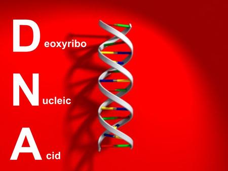 DNADNA eoxyribo ucleic cid. DNA is found in the nucleus of a cell. It makes up our chromosomes. (what about prokaryotes?) It is also found in these organelles: