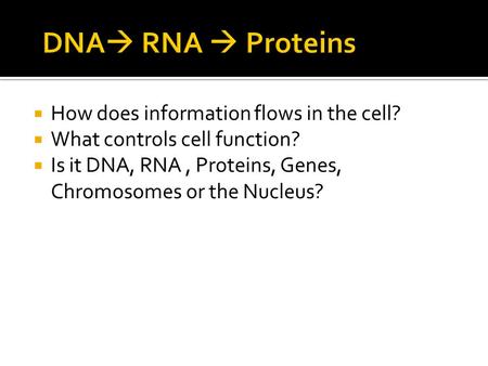  How does information flows in the cell?  What controls cell function?  Is it DNA, RNA, Proteins, Genes, Chromosomes or the Nucleus?