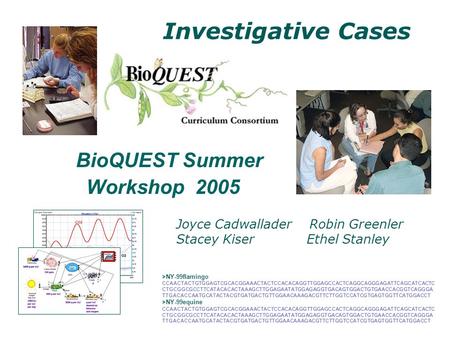 Investigative Cases BioQUEST Summer Workshop 2005 Joyce Cadwallader Robin Greenler Stacey Kiser Ethel Stanley >NY-99flamingo CCAACTACTGTGGAGTCGCACGGAAACTACTCCACACAGGTTGGAGCCACTCAGGCAGGGAGATTCAGCATCACTC.